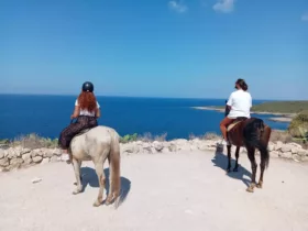 Maneggio porto selvaggio