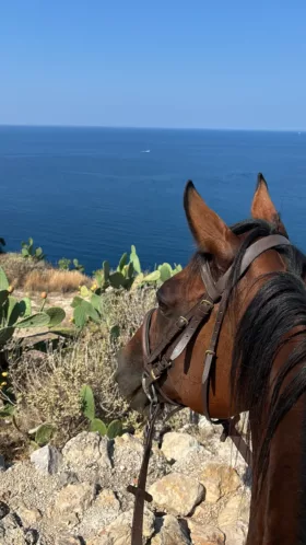 Maneggio porto selvaggio2