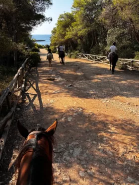 Maneggio porto selvaggio3