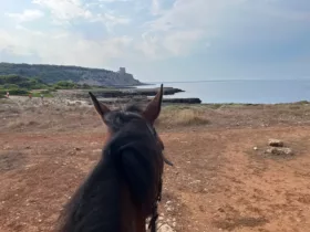 Maneggio porto selvaggio5