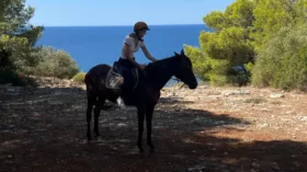 Maneggio porto selvaggio6