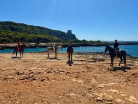 Maneggio porto selvaggio7