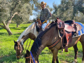 Passeggiata cavallo cesine 10