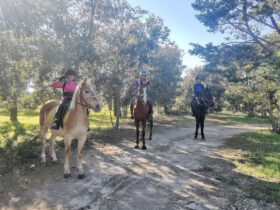 Passeggiata cavallo cesine 3