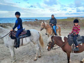 Passeggiata cavallo cesine 6