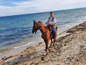 Passeggiata cavallo cesine 9