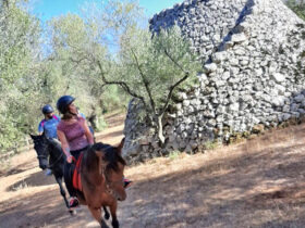 Passeggiata cavallo macchia mediterranea 1