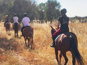 Passeggiata cavallo macchia mediterranea 12