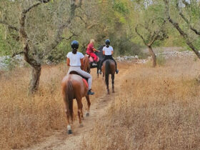 Passeggiata cavallo macchia mediterranea 4