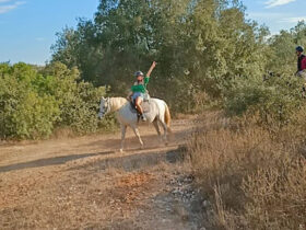 Passeggiata cavallo macchia mediterranea 5