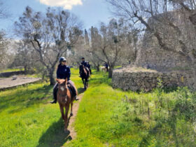 Passeggiata cavallo macchia mediterranea 6