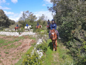 Passeggiata cavallo macchia mediterranea 7