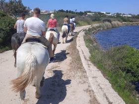 Passeggiata cavallo porto cesareo 14