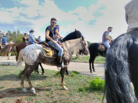 Passeggiata cavallo porto cesareo 16