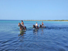 Passeggiata cavallo porto cesareo 3