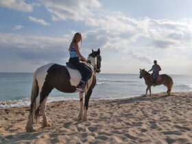 Passeggiata cavallo porto cesareo 7