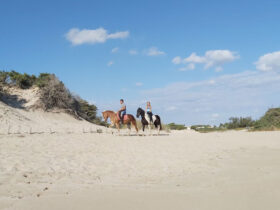 Passeggiata cavallo porto cesareo 9