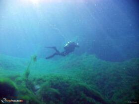 Zona per immersioni immersione orca diving center sh3