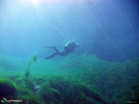 Zona per immersioni immersione orca diving