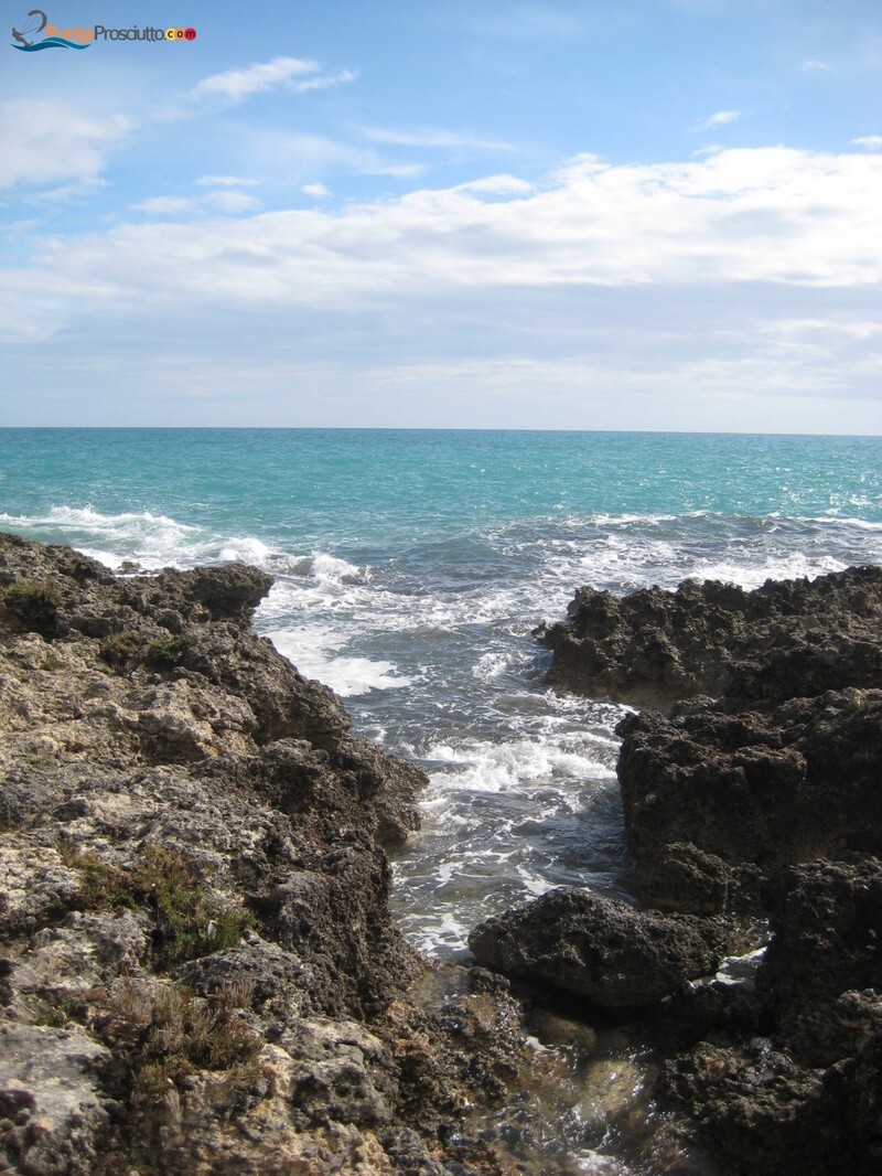 Apnea scogliera torre colimena S Pq