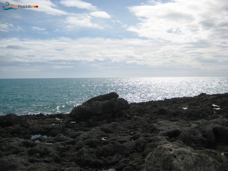 Apnea scogliera torre colimena d3o