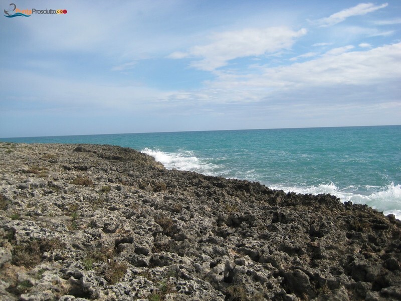 Apnea scogliera torre colimena ei S