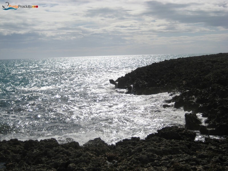 Apnea scogliera torre colimena mz B