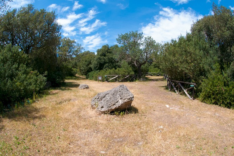 Bosco cuturi natura