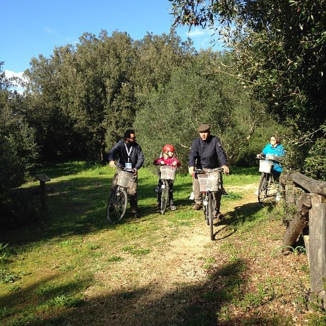 Boscocuturi passeggiata bosco bici