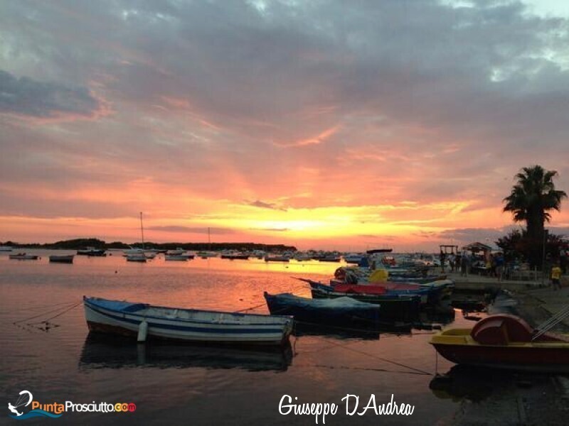 Comune comune di porto cesareo D Kq