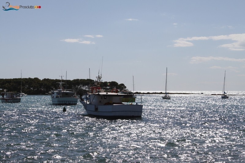 Comune comune di porto cesareo Ng W