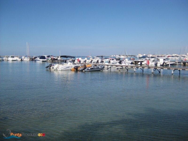 Comune comune di porto cesareo Q Jb