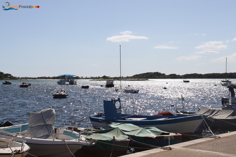 Comune comune di porto cesareo jl P