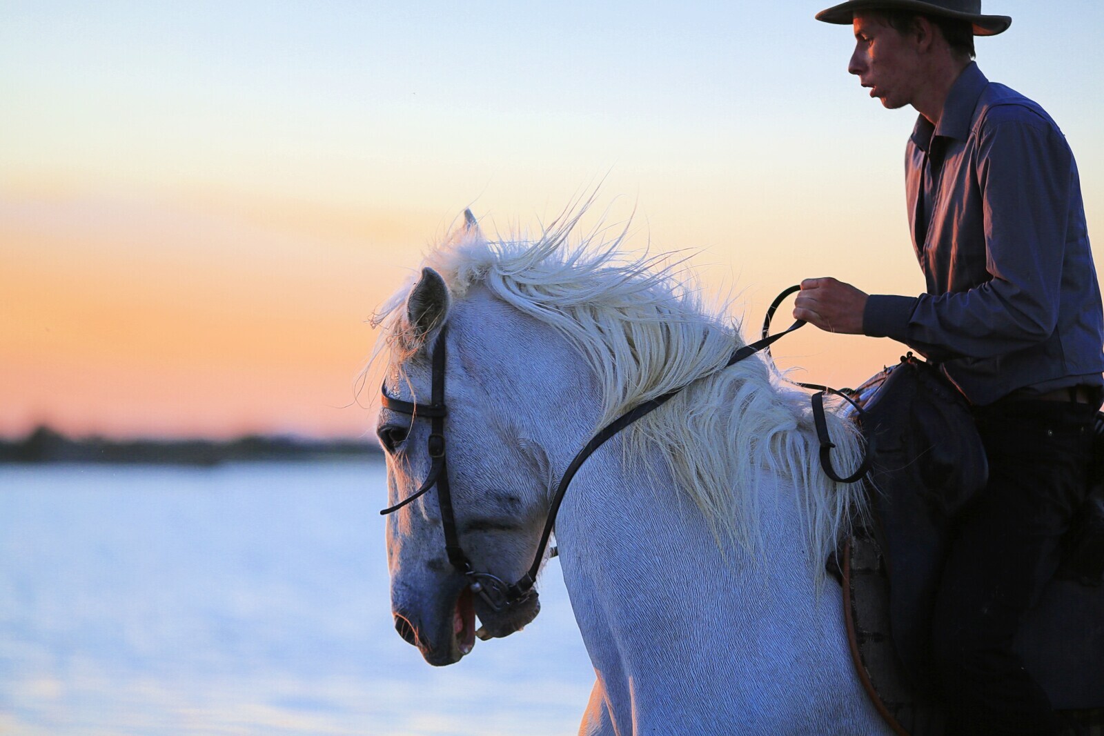 Escursione a cavallo