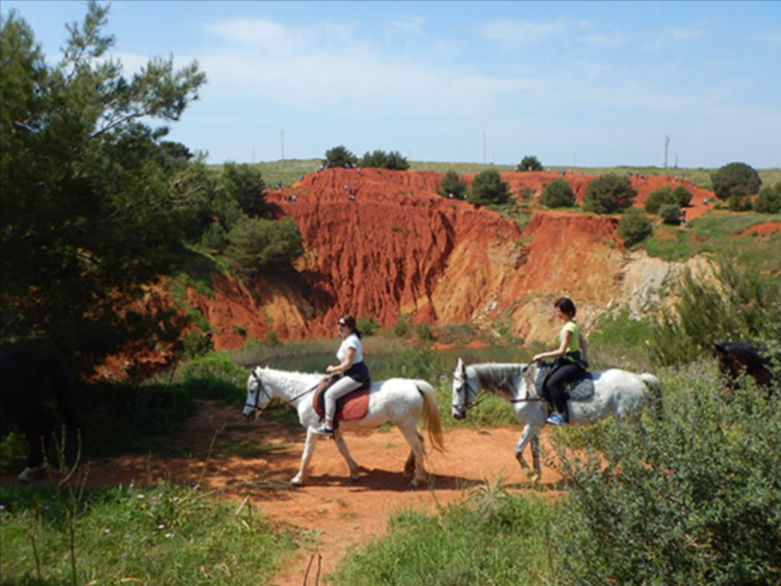 Escursione a cavallo nei pressi di Bauxite