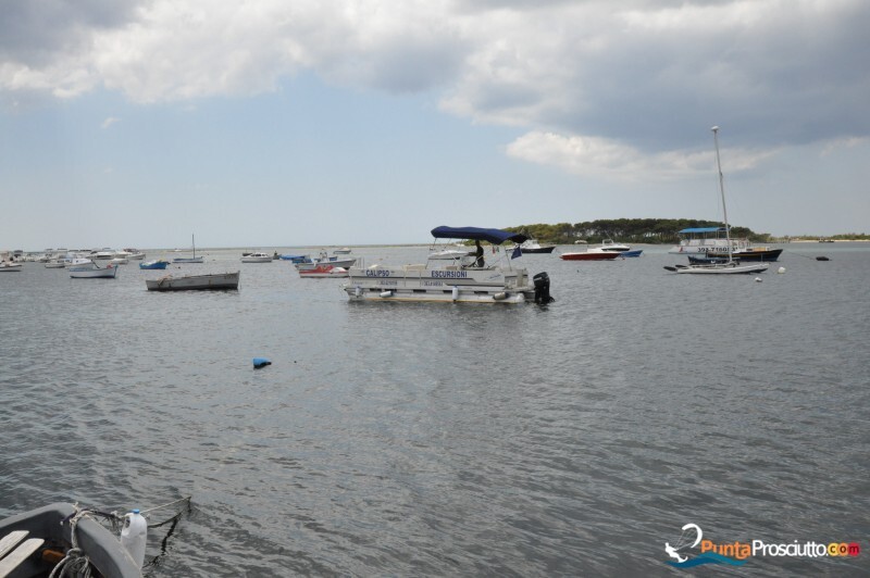 Escursioni in barca lola calipso escursioni porto cesareo 4 Ir