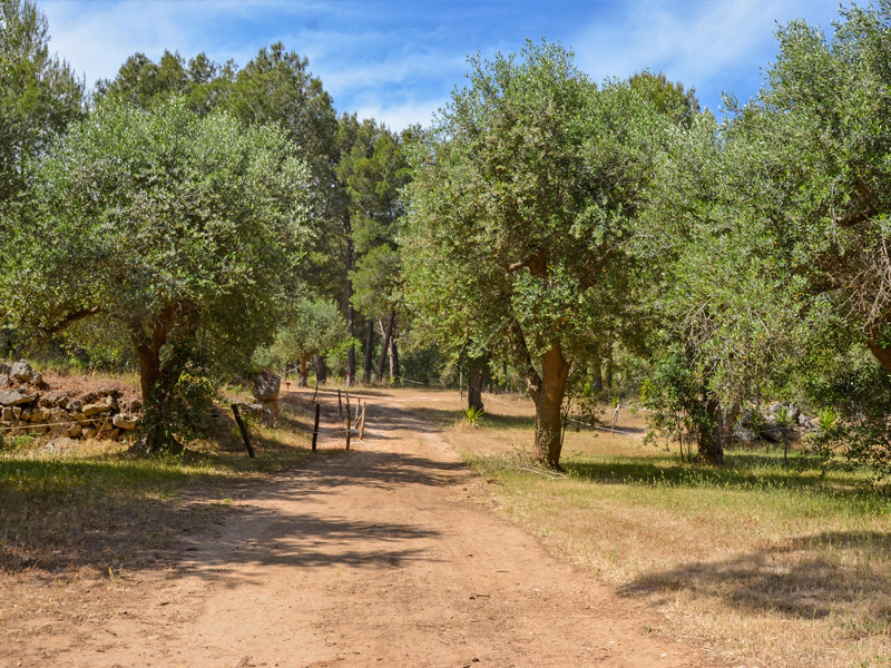 Foto mtb sancosimo 14