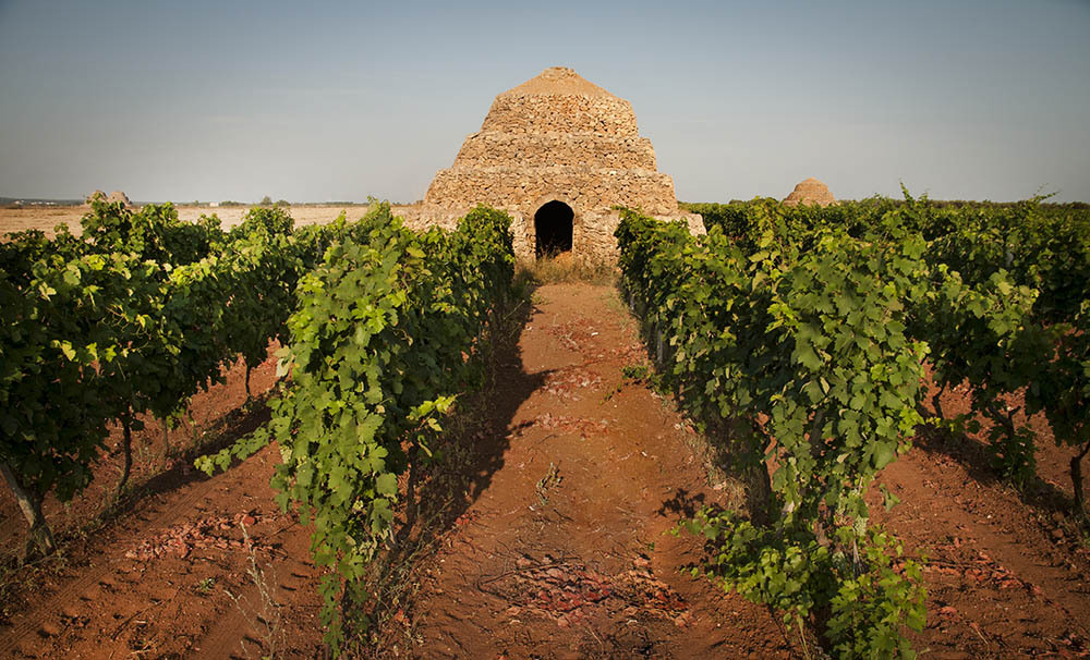 Manduria campagne salento