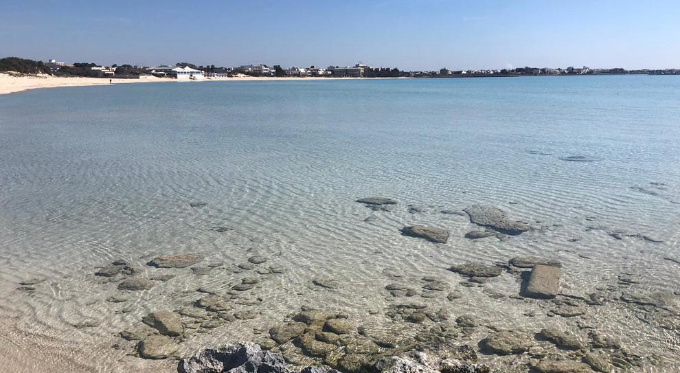 Acque chiare e cristalline e fondali digradanti dall’ambiente sub-tropicale caratterizzano il mare di Porto di Cesareo che lambisce 17 km di distese di sabbia bianca e finissima, basse scogliere, piccole penisole, paludi e isolotti, tra cui spicca l’Isola dei Conigli