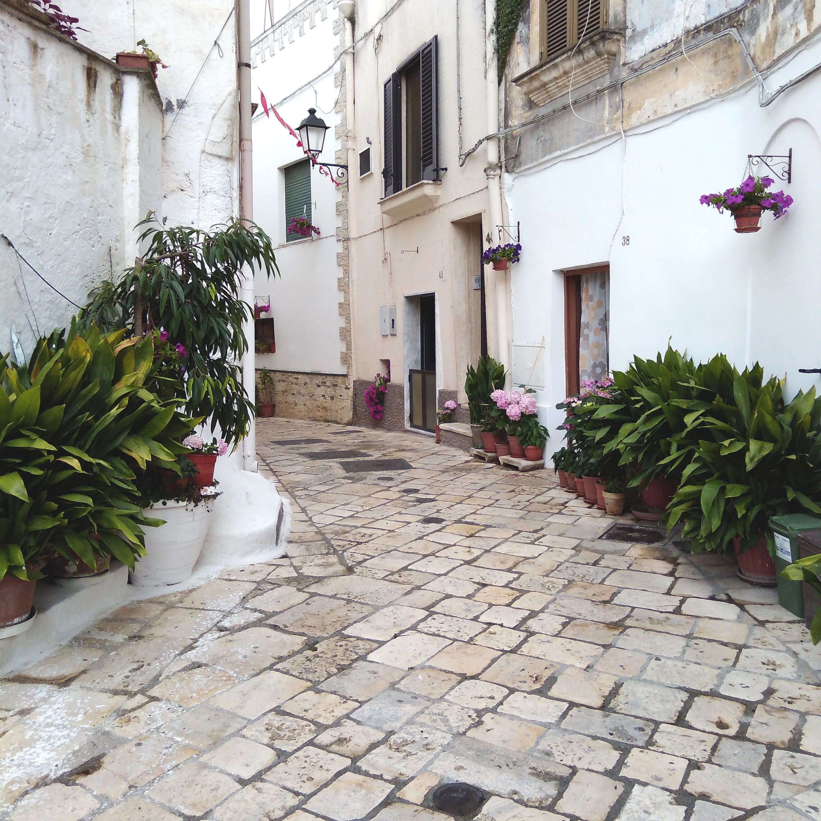 Mesagne centro storico casa vedere salento