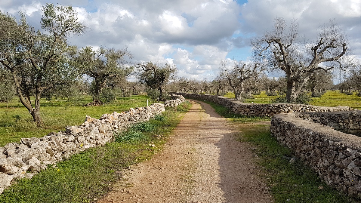 Le città salentine in tour con il noleggio scooter