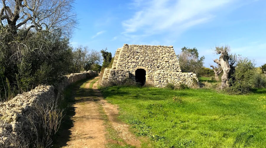 Cosa vedere a Salice Salentino?