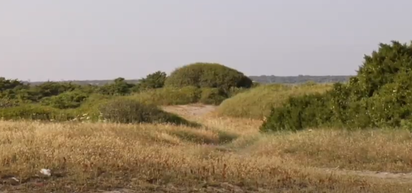 Palude del conte salento puglia