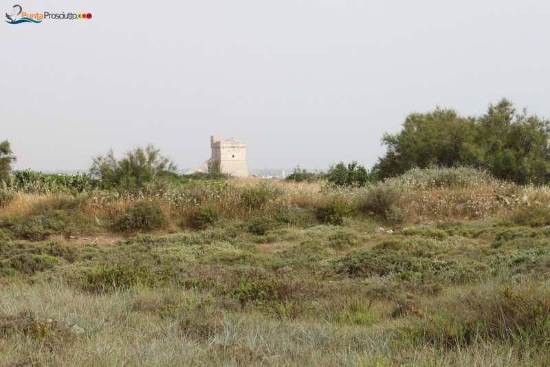 Penisola penisola della strea ome