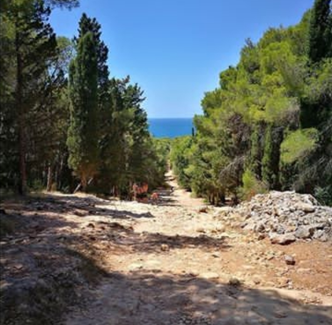 Porto selvaggio sentiero spiaggia