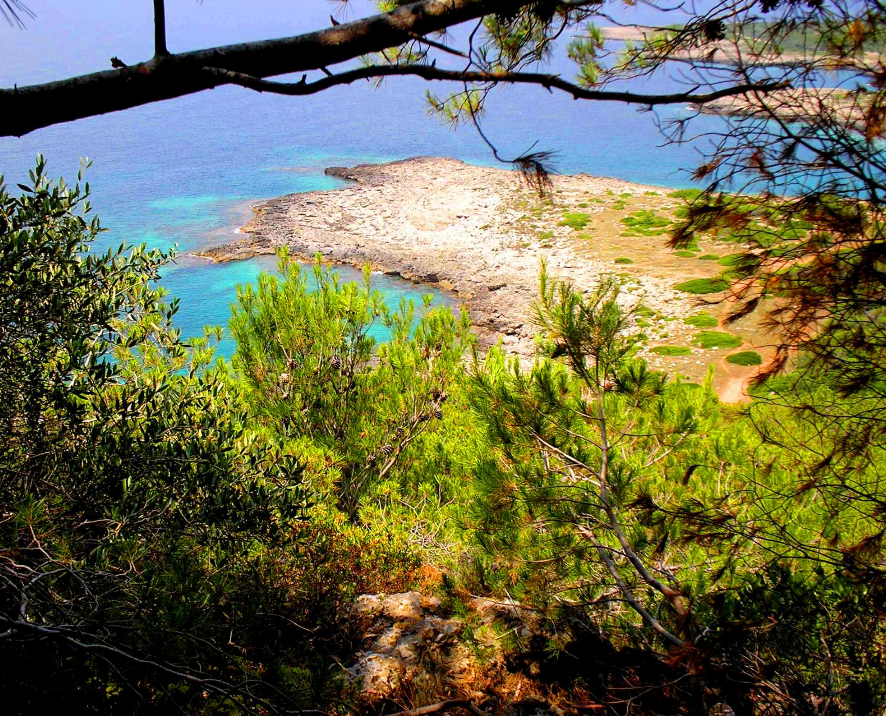 Quali sono le riserve naturali da vedere in Salento?