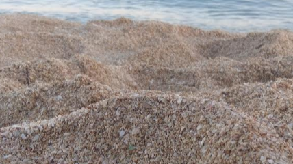 Salina dei monaci spiaggia salento