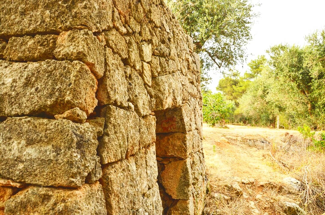 San cosimo park trullo