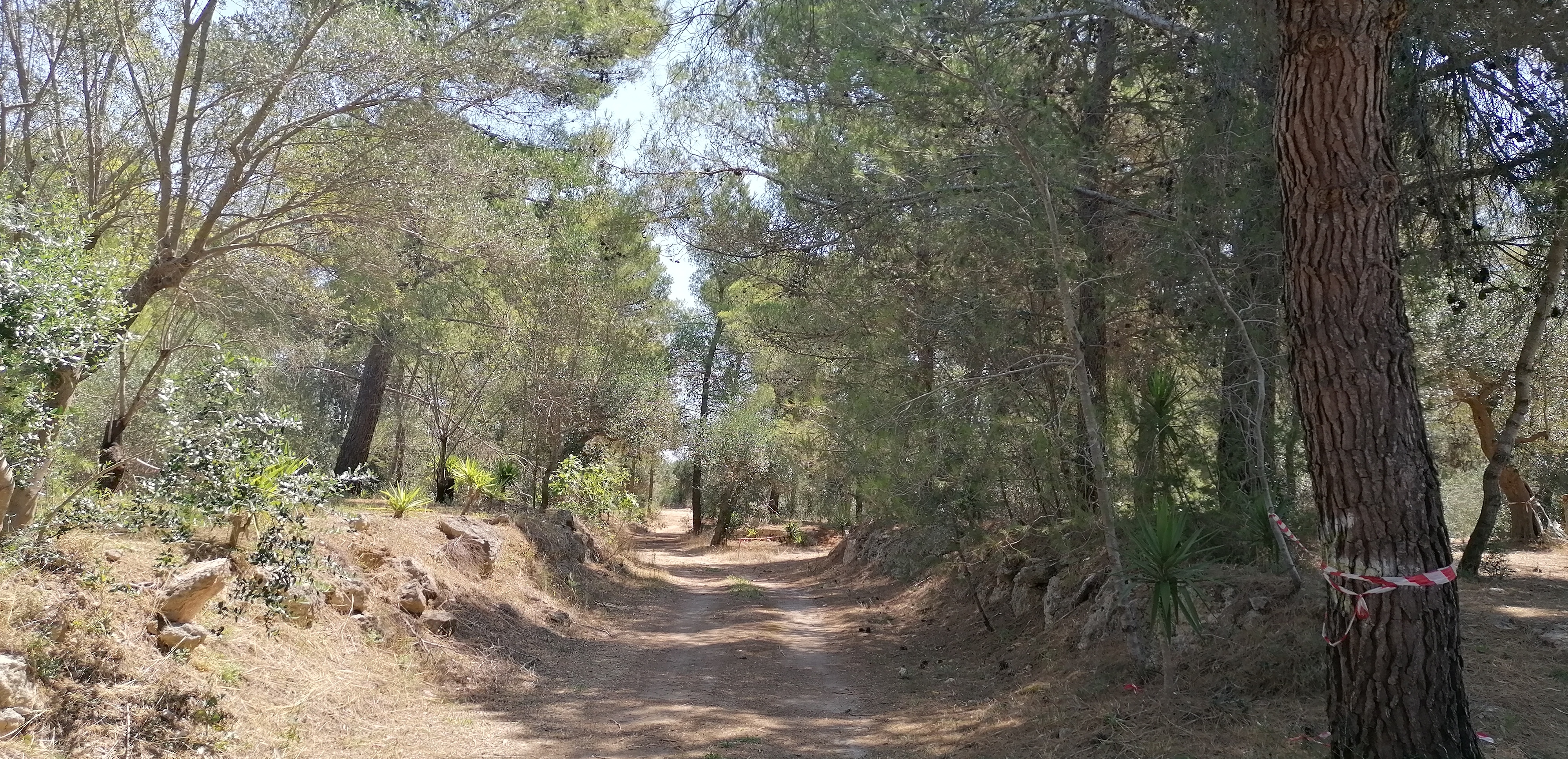 Percorso San Cosimo Park