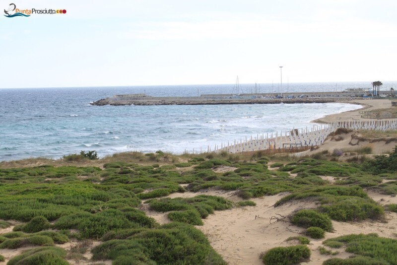 Spiaggia dune di campo marino ATR